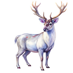 There is a deer that is standing in the watercolor