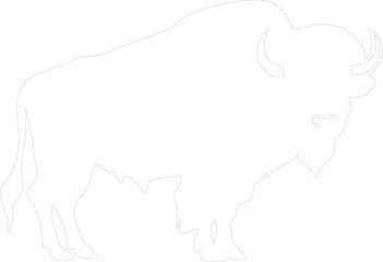 buffalo outline