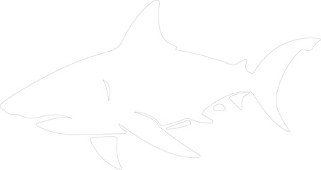 Fototapeta premium bullshark outline