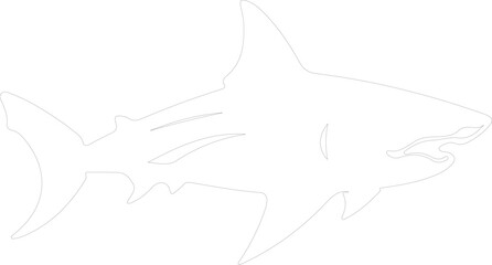 Fototapeta premium bullshark outline