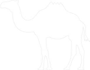 camel outline