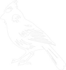 cardinal outline