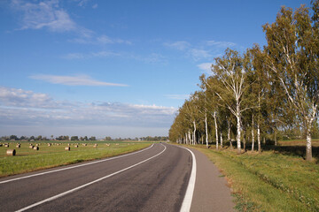 A road in the countryside between birch trees and a field with hay rolls