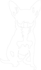 chihuahua outline