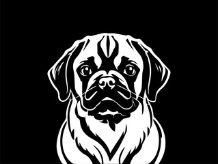 Dog face drawing, Dog drawing, Pug art