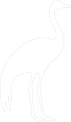 Obraz premium commonrhea outline