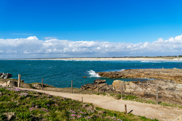 Naklejka premium Vue panoramique printanière du site de la Torche en Bretagne : armérie maritime fleurie, vaste plage de sable, eaux turquoises, ciel bleu parsemé de nuages.