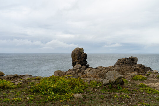 Énormes rochers à la pointe de la Torche et parterre de criste marine, emblèmes de la beauté naturelle de la Bretagne.
