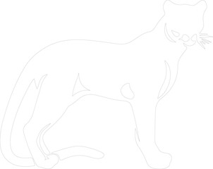 Obraz premium cougar outline