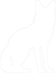 Obraz premium coyote outline