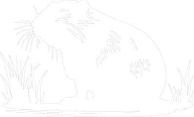 coypu outline