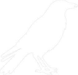 Fototapeta premium crow outline