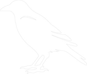 Obraz premium crow outline