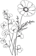 Daisy Sweet Pea April birth flower, sweet pea, and daisy drawing, April Flowers Art Print of Sweet Pea and Daisy   minimalist sweet pea and daisy tattoo