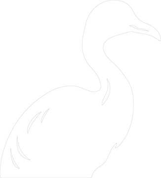 recommend clip art: dodo outline