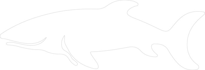 dogfish outline