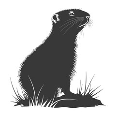 Fototapeta premium Silhouette Groundhog animal black color only full body