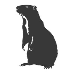 Obraz premium Silhouette Groundhog animal black color only full body