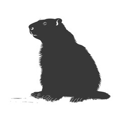 Fototapeta premium Silhouette Groundhog animal black color only full body
