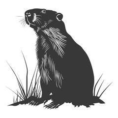 Obraz premium Silhouette Groundhog animal black color only full body