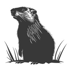 Fototapeta premium Silhouette Groundhog animal black color only full body