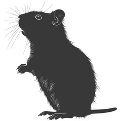 Fototapeta premium Silhouette hamster animal black color only full body