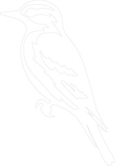 downy woodpecker outline