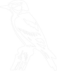 downy woodpecker outline