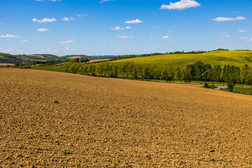 Collines du Lauragais au printemps depuis Nailloux, couvertes de champs de blé et de colza