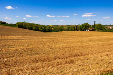 Collines du Lauragais au printemps depuis Nailloux, couvertes de champs de blé et de colza