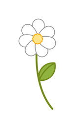 Chamomile. White summer flower. Camomile. Cartoon, vector