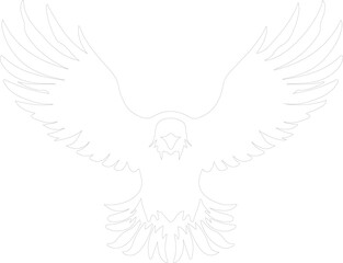 Obraz premium eagle outline