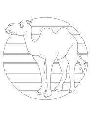 Camel Coloring Page. Wild Animal Coloring Page for Kids Who love jungles and wildlife