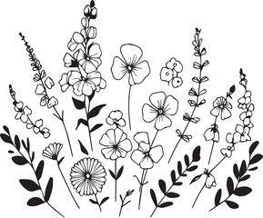 Set of April Birth Flower Sweet Pea and Daisy Black and White Art Printable, Hand drawn botanical vector illustration, Beautiful sweet pea flower with leaves line art plant branch vector botanical art