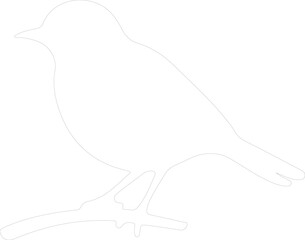 eastern bluebird outline