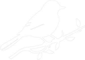 eastern bluebird outline