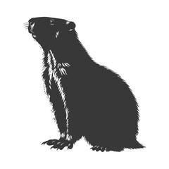 Fototapeta premium Silhouette Groundhog animal black color only full body