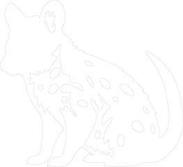 Obraz premium eastern quoll outline