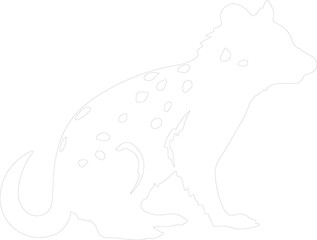 eastern quoll outline
