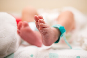 Newborn baby's feet with tag