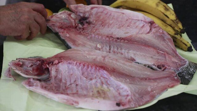 Fresh fishTambaqui (Colossoma macropomum) typical Brazilian freshwater fish from the Amazon and Pantanal. 4K video