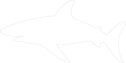 Obraz premium Galapagos shark outline