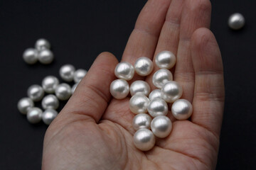 Expensive and luxurious round saltwater South Sea pearls held in the hand of a jeweler, ready to be made into earrings, pendants or necklaces and sold in jewelry store. Popular wedding accessory.