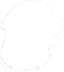 golden retriever outline