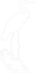 Obraz premium great egret outline