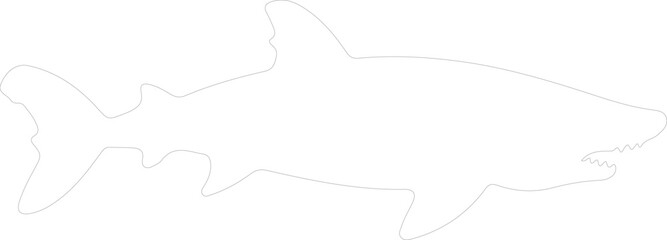 Greenland shark outline