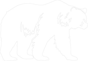 grizzly bear outline