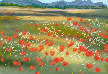 field of poppies