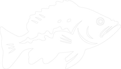 Fototapeta premium grouper outline