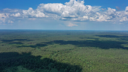 Fototapeta na wymiar Aerial view of summer forest